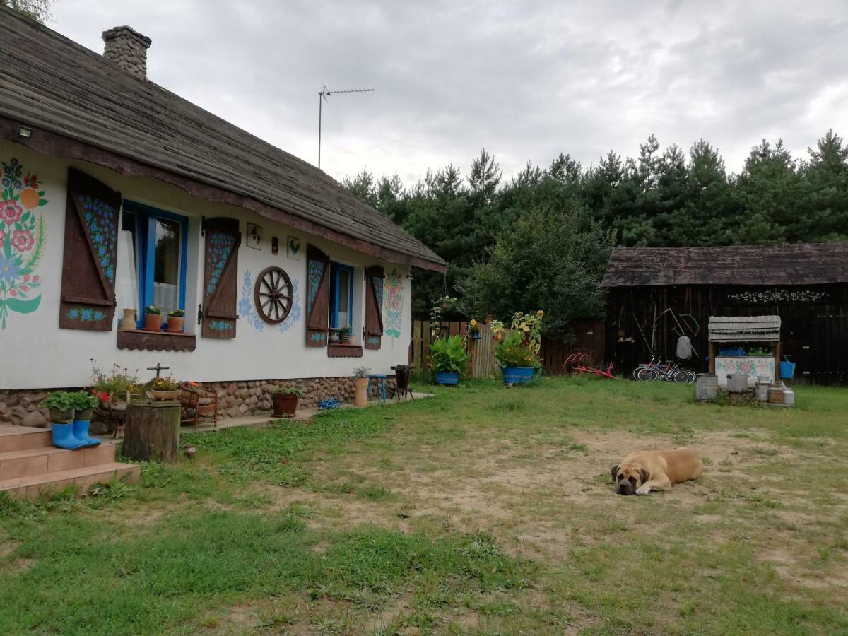 Zagroda Zalipie Gostynin Εξωτερικό φωτογραφία