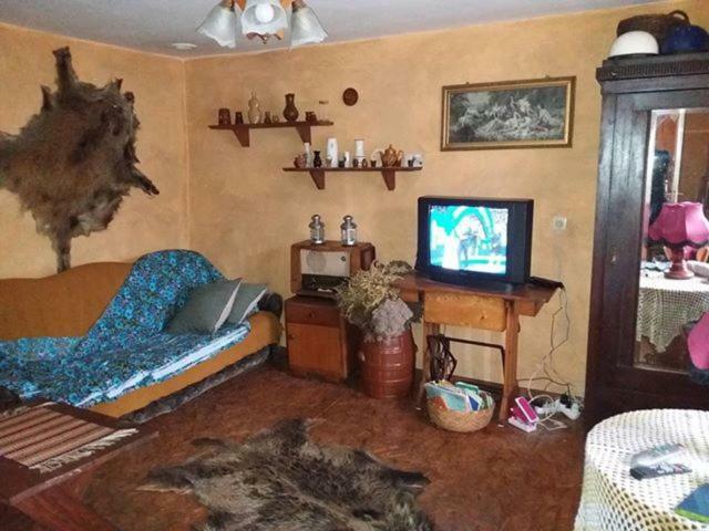Zagroda Zalipie Gostynin Εξωτερικό φωτογραφία